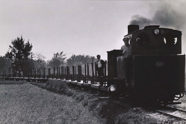 藏品:作品286(小火車)的(1)張圖片