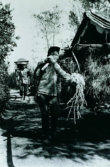 藏品:作品35(吉日)的(1)張圖片