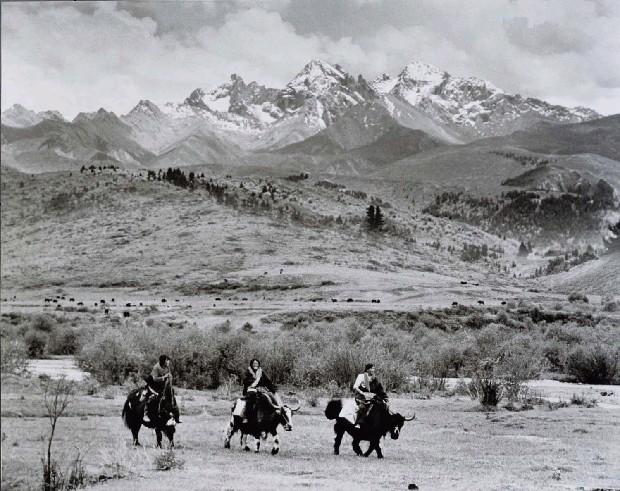 藏品:三女送乳的(1)張圖片