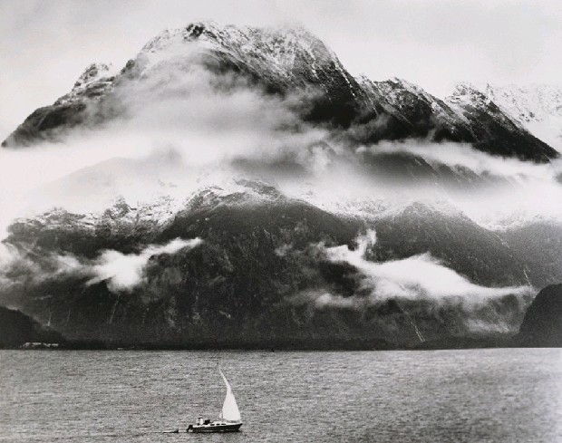 藏品:龍虎鬥的(1)張圖片