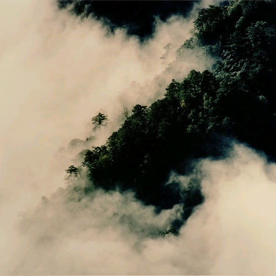 藏品:雲山蒼蒼的(1)張圖片