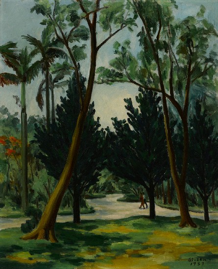 藏品:熱帶樹林的(1)張圖片