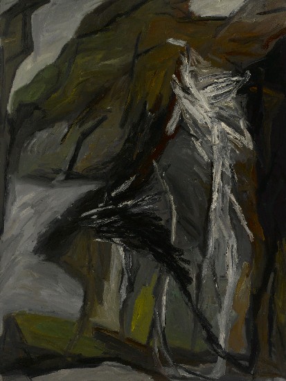 藏品:自然與現象之九的(1)張圖片