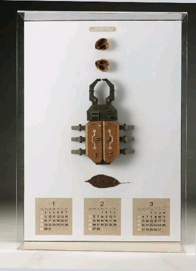 藏品:2000年絕滅的昆蟲的(2)張圖片