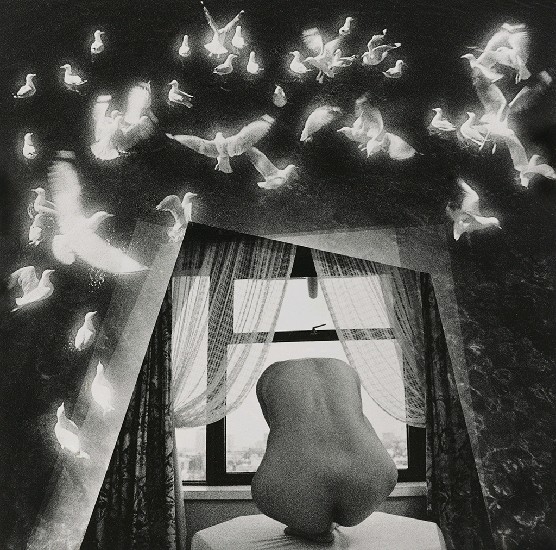 藏品:窗的(1)張圖片