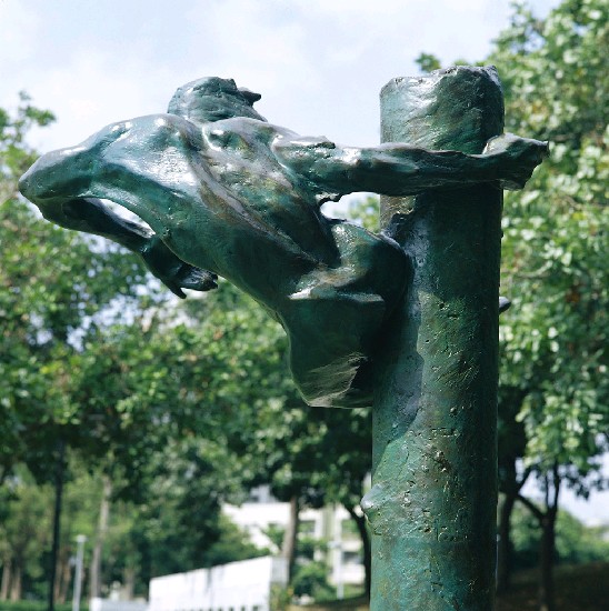 藏品:生命的風景的(6)張圖片