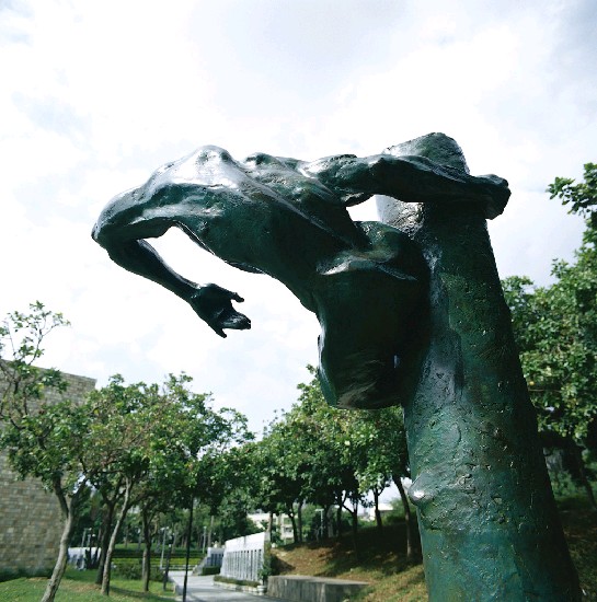 藏品:生命的風景的(7)張圖片