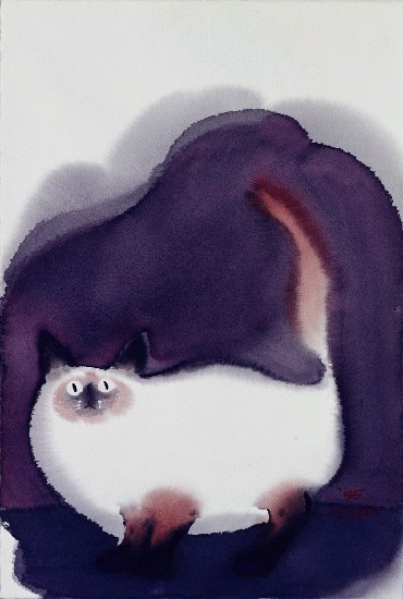 藏品:渴望的(1)張圖片