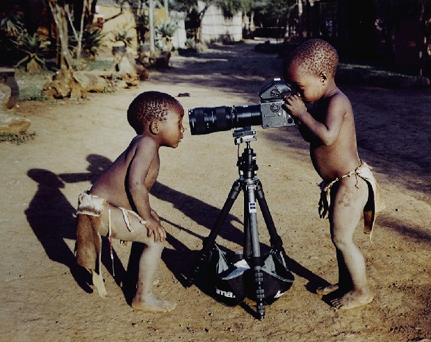 藏品:好奇的(1)張圖片