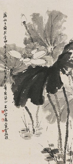 藏品:荷花的(1)張圖片