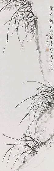 藏品:蘭的(1)張圖片