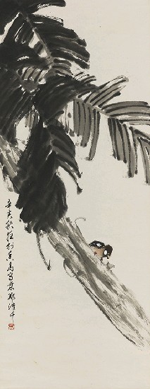 藏品:蕉雀的(1)張圖片