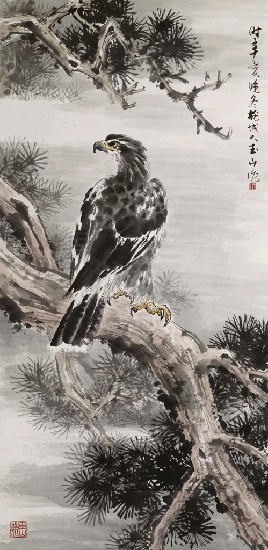 藏品:松鷹的(1)張圖片