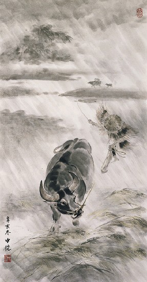 藏品:牛的(1)張圖片