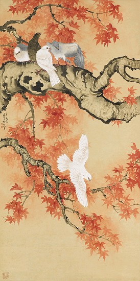 藏品:花鳥的(1)張圖片