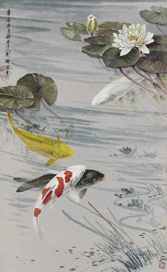 藏品:鯉魚的(1)張圖片