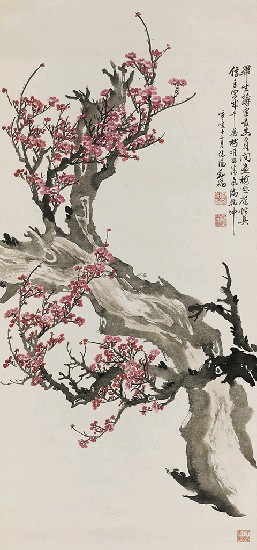 藏品:紅梅的(1)張圖片