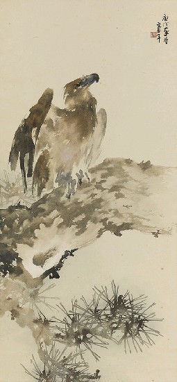 藏品:松鷹的(1)張圖片