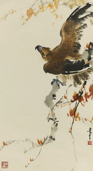 藏品:鷹的(1)張圖片