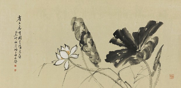 藏品:荷花的(1)張圖片