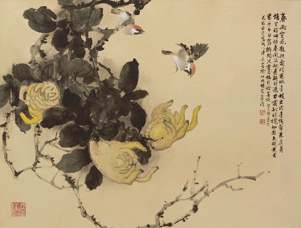 藏品:佛手的(1)張圖片