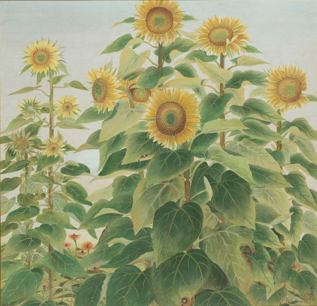 藏品:向日葵的(1)張圖片