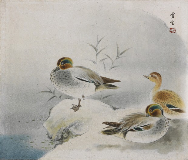 藏品:鴛鴦的(1)張圖片