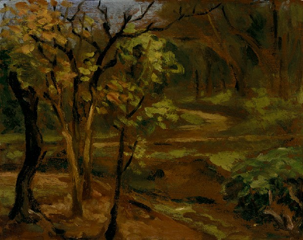 藏品:嘉義公園的(1)張圖片