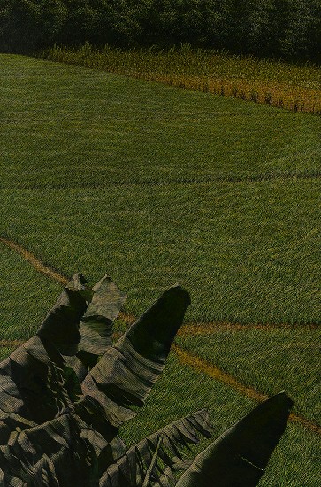 藏品:蕉葉迎風的(1)張圖片