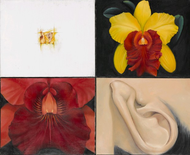 藏品:愛人的耳朵的(1)張圖片