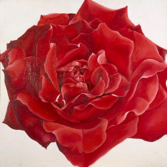 藏品:花之舞的(3)張圖片