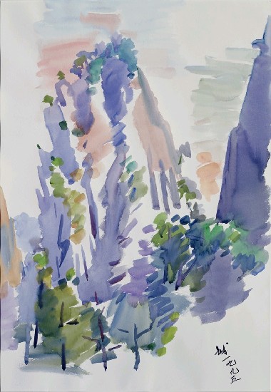 藏品:黃山系列二的(1)張圖片