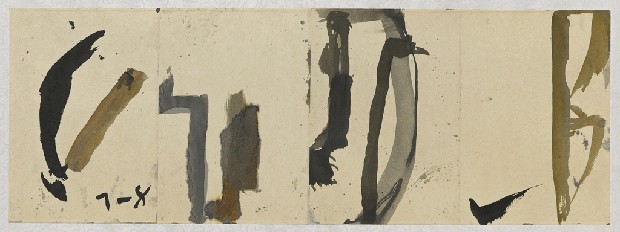 藏品:日照的(1)張圖片