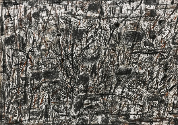 藏品:自然圖象的(1)張圖片