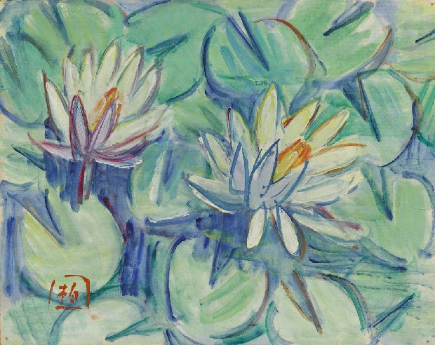 藏品:睡蓮(家中自種)的(1)張圖片