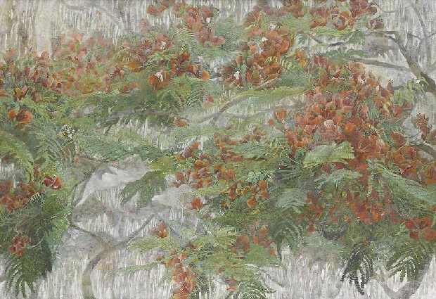 藏品:燦的(1)張圖片