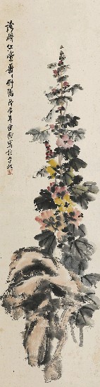 藏品:葵花(花卉)的(1)張圖片