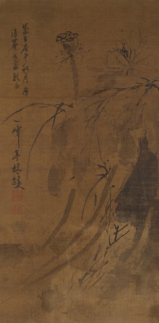 藏品:墨荷的(1)張圖片