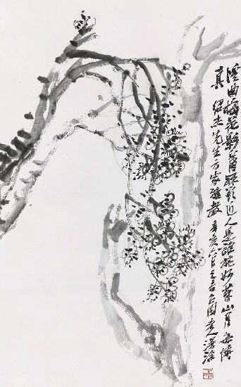 藏品:白梅的(1)張圖片
