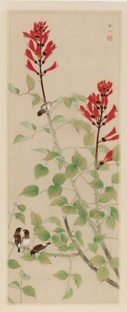 藏品:鳥語的(1)張圖片