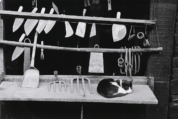 藏品:不知為安(No.23)的(1)張圖片