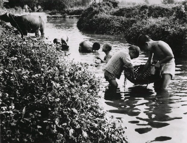 藏品:摸蛤兼洗褲的(1)張圖片