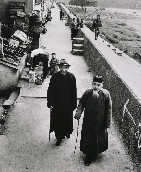 藏品:散步的(1)張圖片