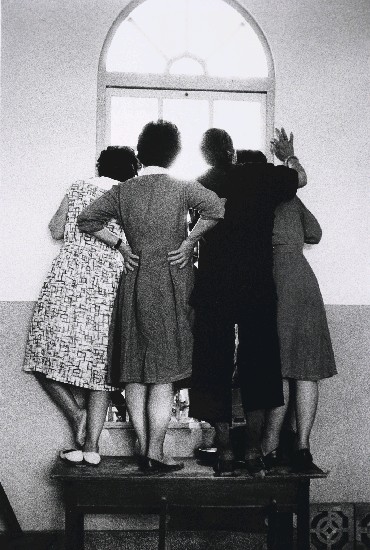 藏品:看熱鬧的(1)張圖片