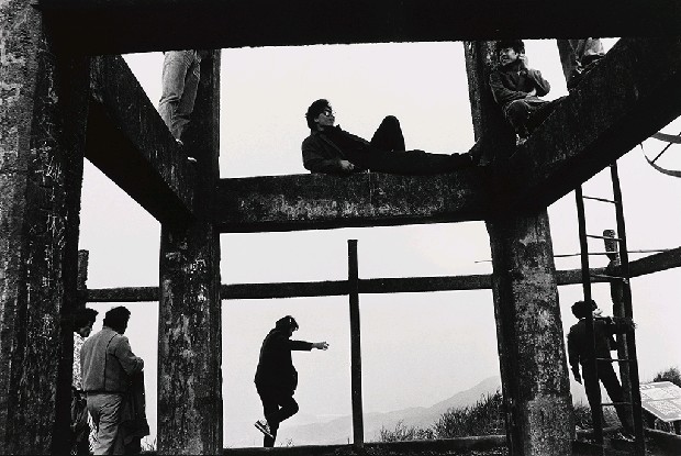 藏品:賞雪劇場的(1)張圖片