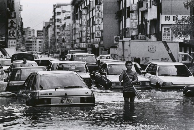 藏品:划船的(1)張圖片