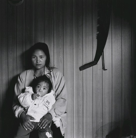 藏品:阿布絲的(1)張圖片