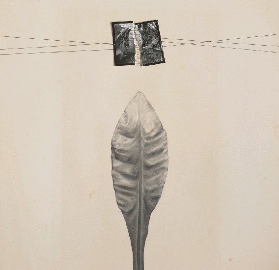 藏品:無題(4)的(1)張圖片