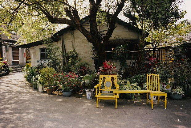 藏品:黃椅子的(1)張圖片