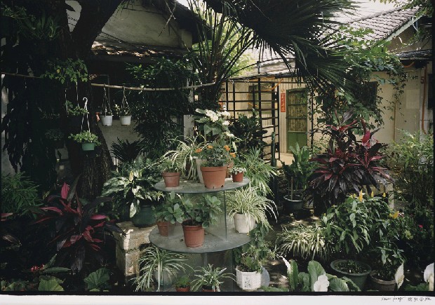 藏品:臺北花園的(1)張圖片